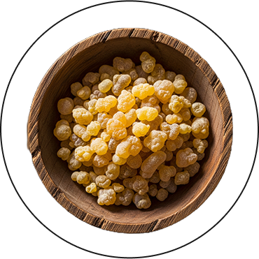 Boswellia serrata